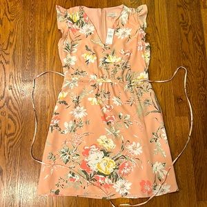 NWT V Neck Loft Dress
